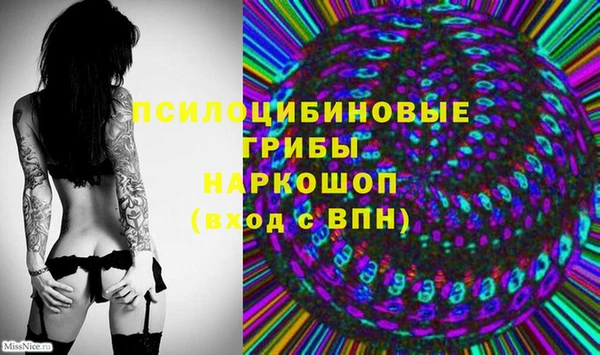 герыч Абаза