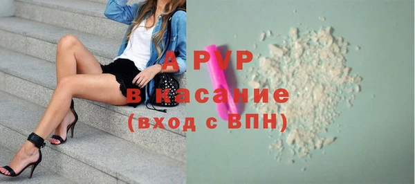 гашик Абинск