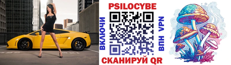 Псилоцибиновые грибы Psilocybine cubensis Чекалин